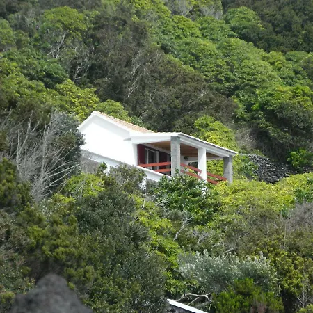 Adega Ninho Da Cagarra Calheta de Nesquim