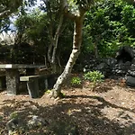 בית חווה Adega Ninho Da Cagarra Calheta de Nesquim
