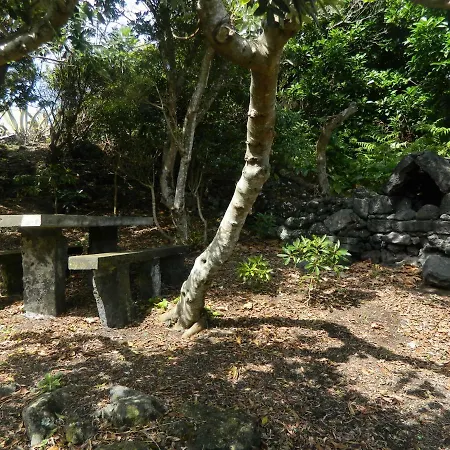 Farm stay Adega Ninho Da Cagarra Calheta de Nesquim