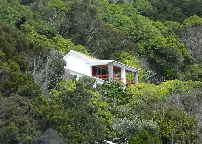 Adega Ninho Da Cagarra Calheta de Nesquim