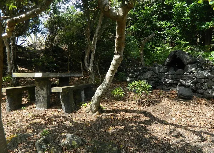 Farm stay Adega Ninho Da Cagarra Calheta de Nesquim