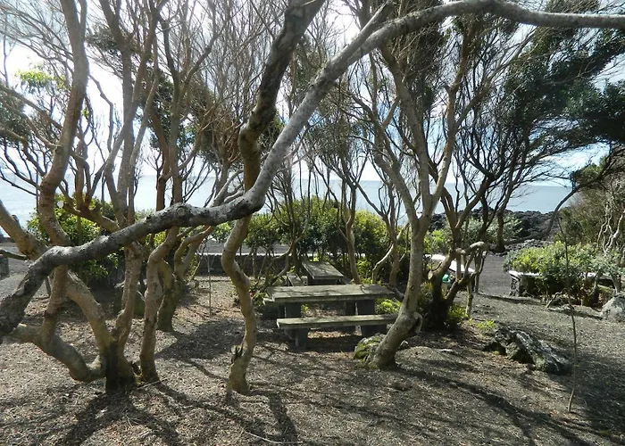 Farm stay Adega Ninho Da Cagarra *